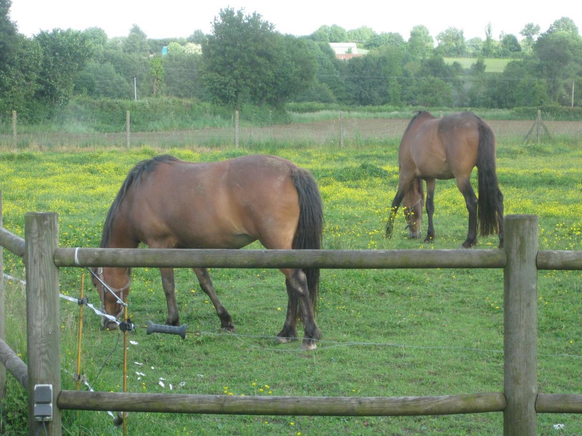 Chambre D'Hotes Proche Puy Du Fou Le Pin  Exteriér fotografie